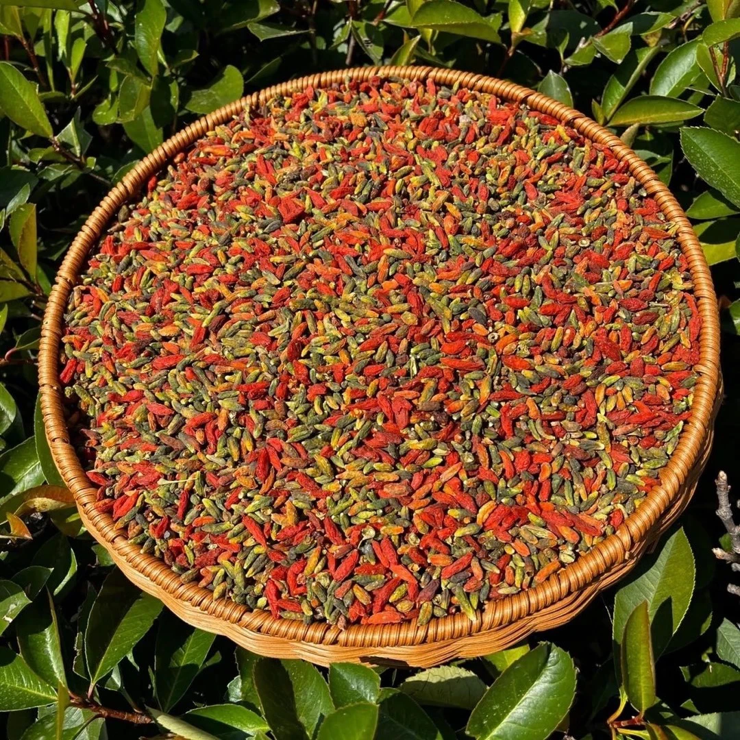 七彩枸杞正品宁夏七彩枸杞250克