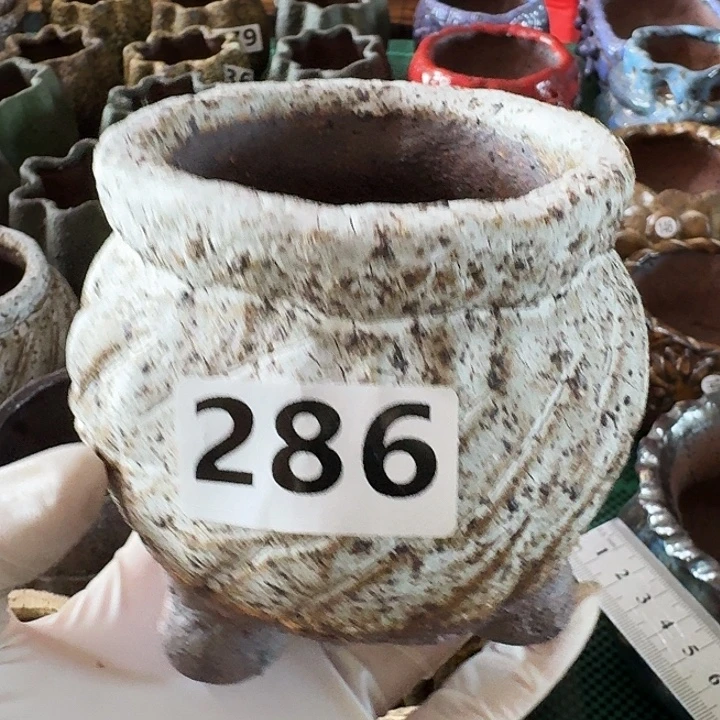 内口6高9满18包邮