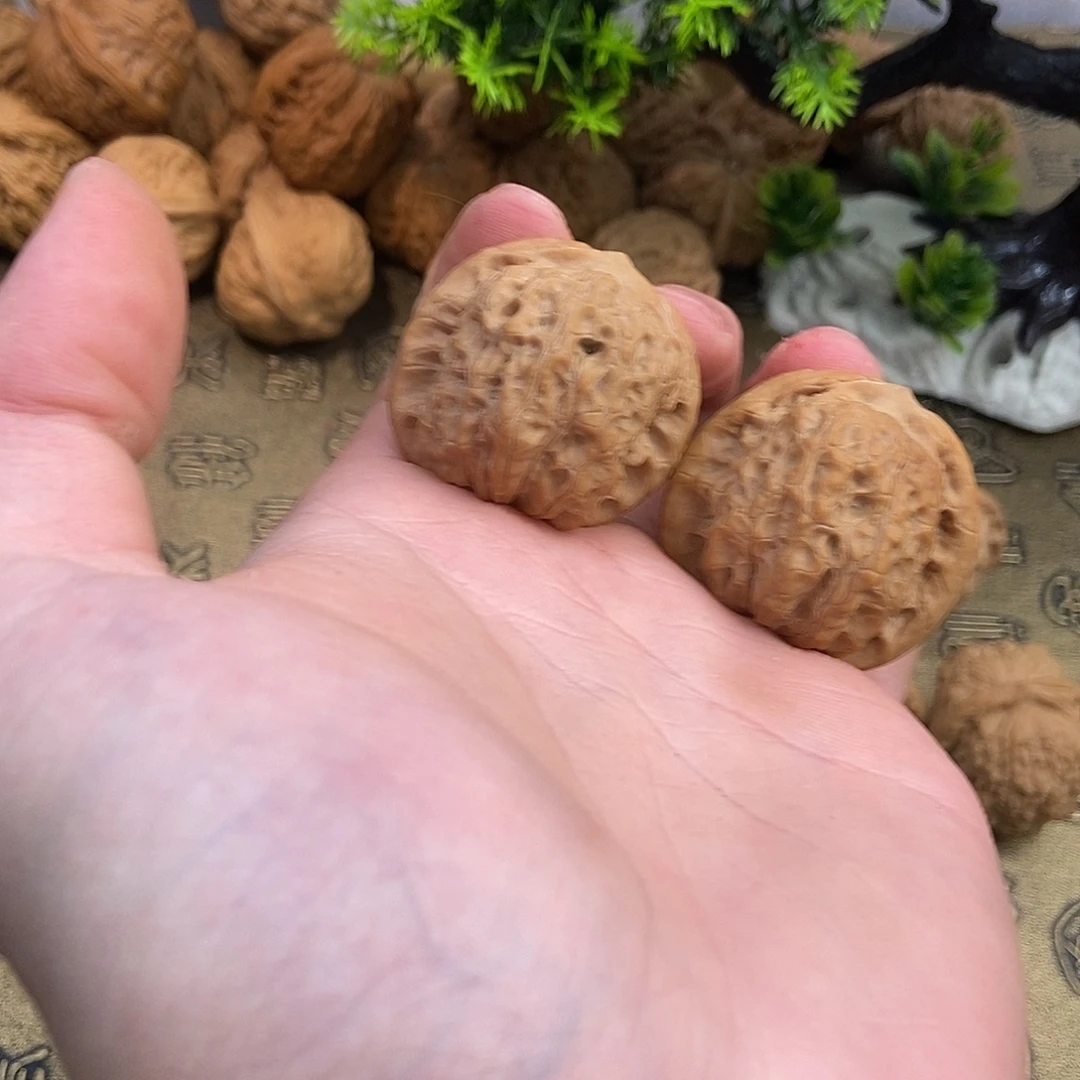 J***.核桃血麒麟201编号（福利价）
