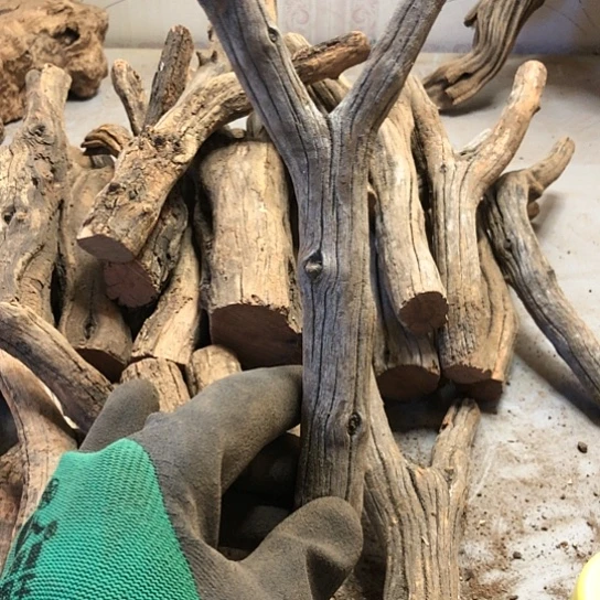 大果紫檀（缅甸花梨）紫****）