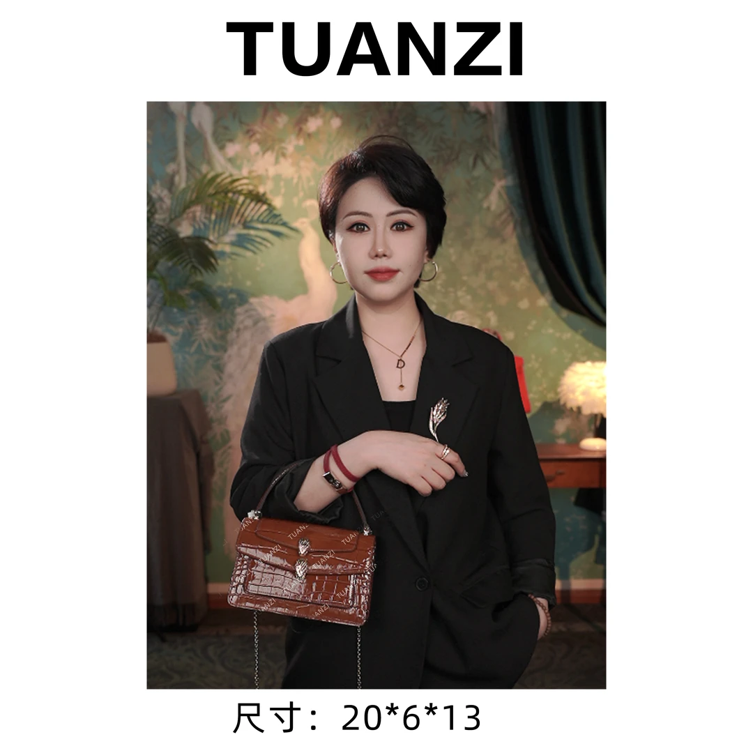 【团子定制】春夏新款女士轻奢时尚腋下女包 XKY-1164-棕色