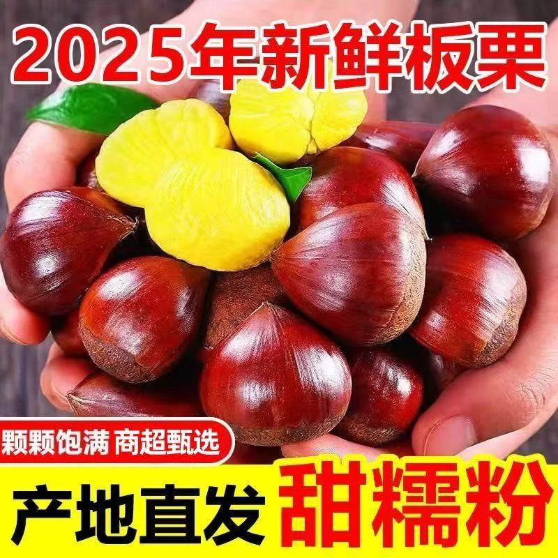 L.2025 新鲜板栗 香甜饱满 香糯可口 生板栗 菜板栗