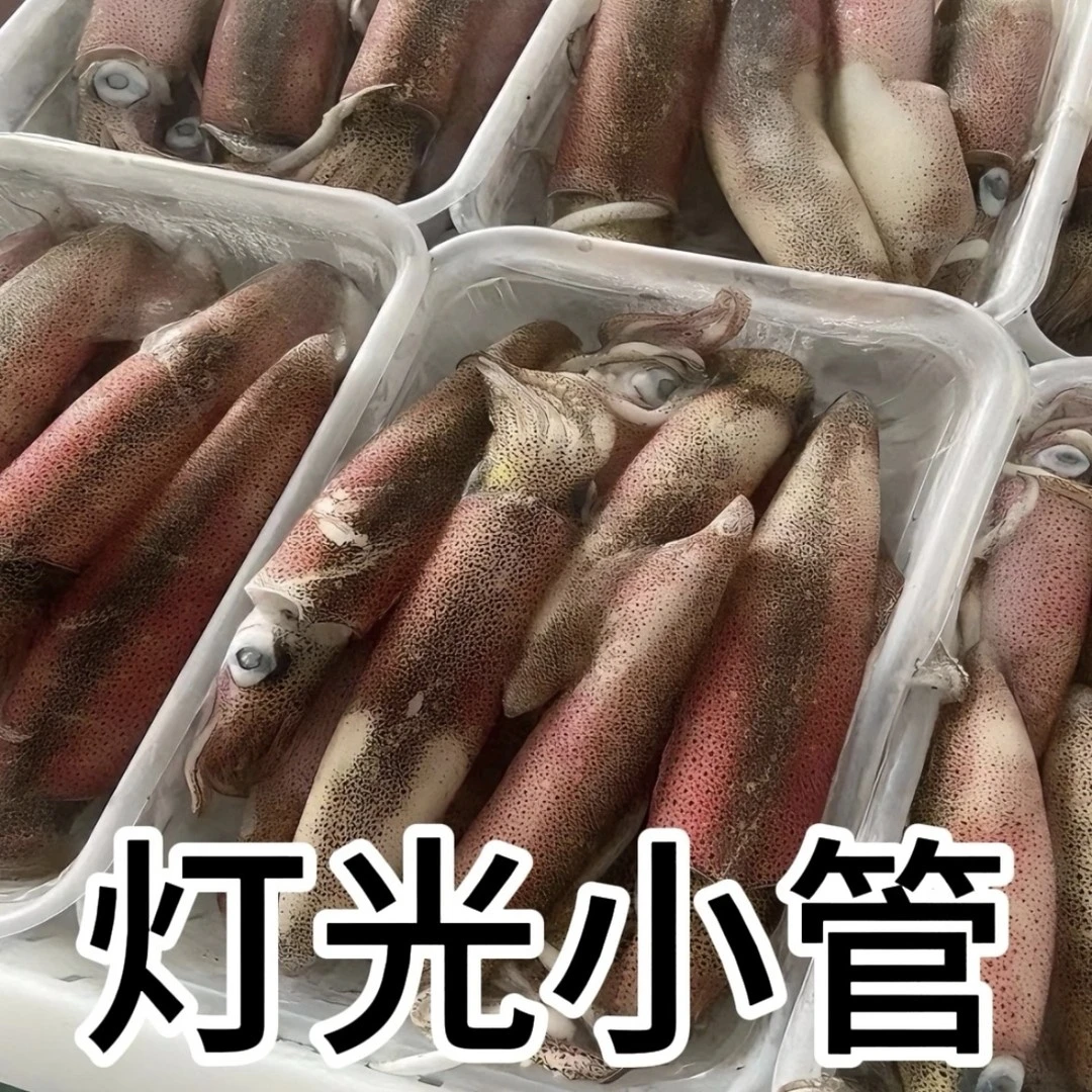 【铁血老陈专属】活冻小管一口管400g/盒液氮速冻锁鲜鱿鱼海兔冷冻