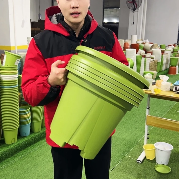 清仓青山口40高34果绿色5只无托