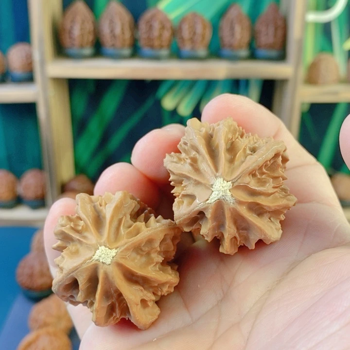 吊坠文玩核桃78龙骨40肚