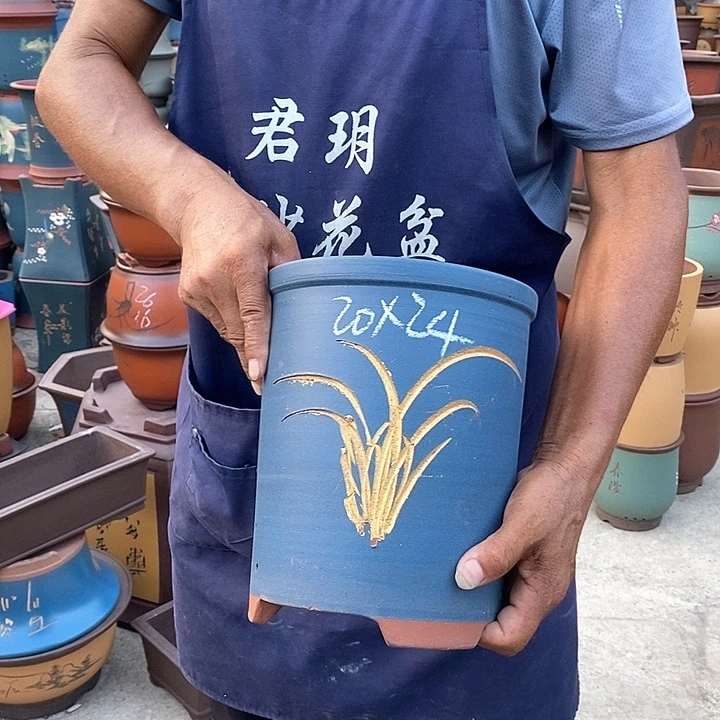 紫砂花盆紫砂花盆盆栽植物花卉种植