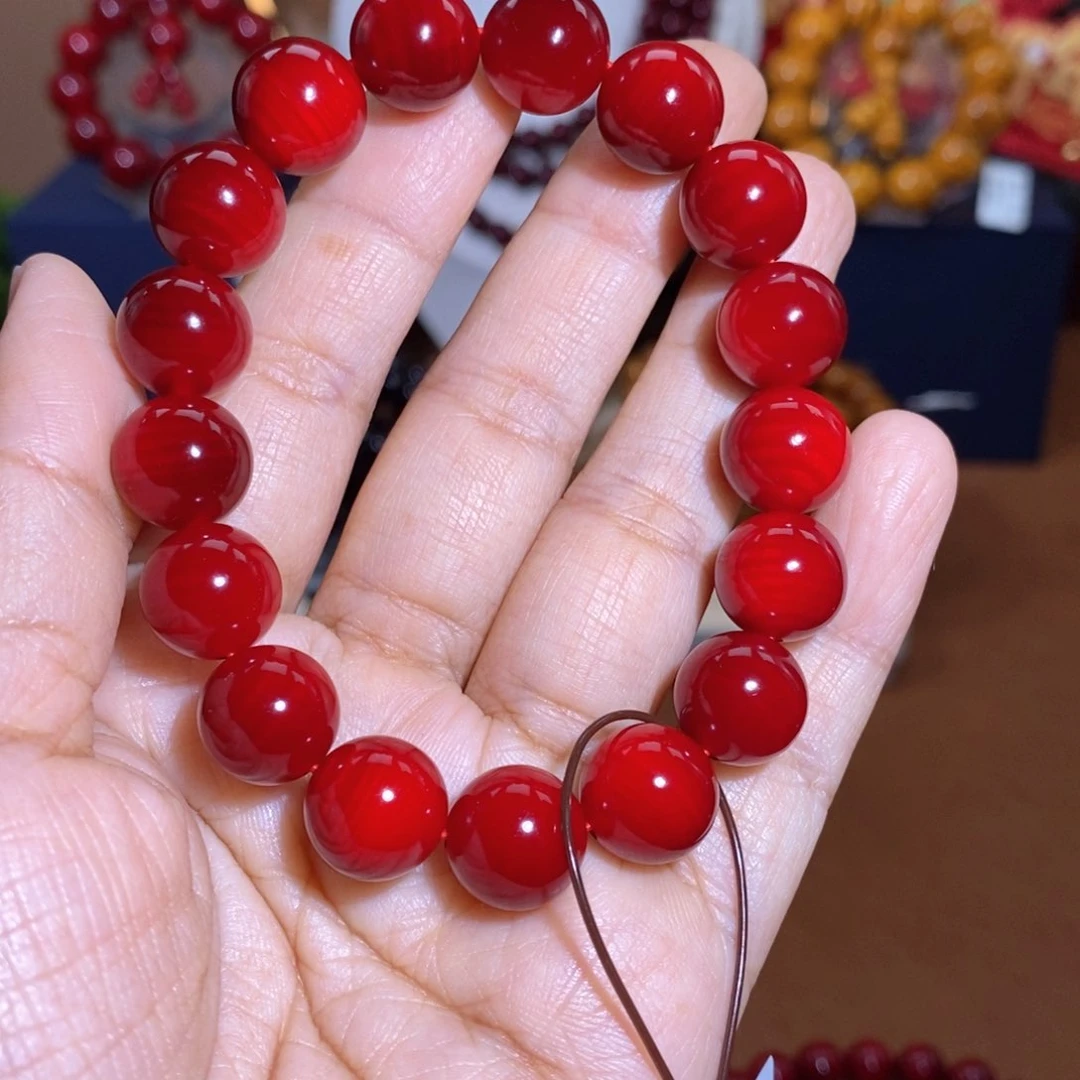 贝壳杉帝王血龙木1.2