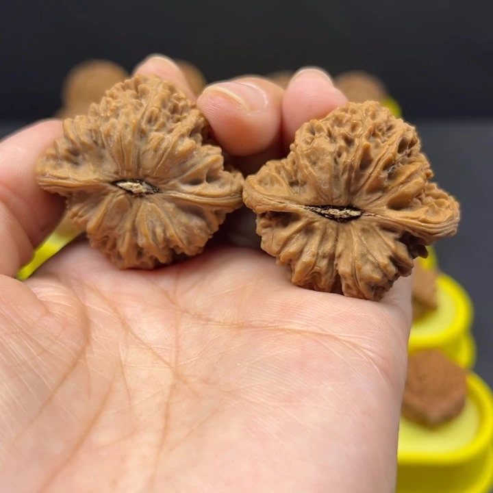 把件文玩核桃?****丶