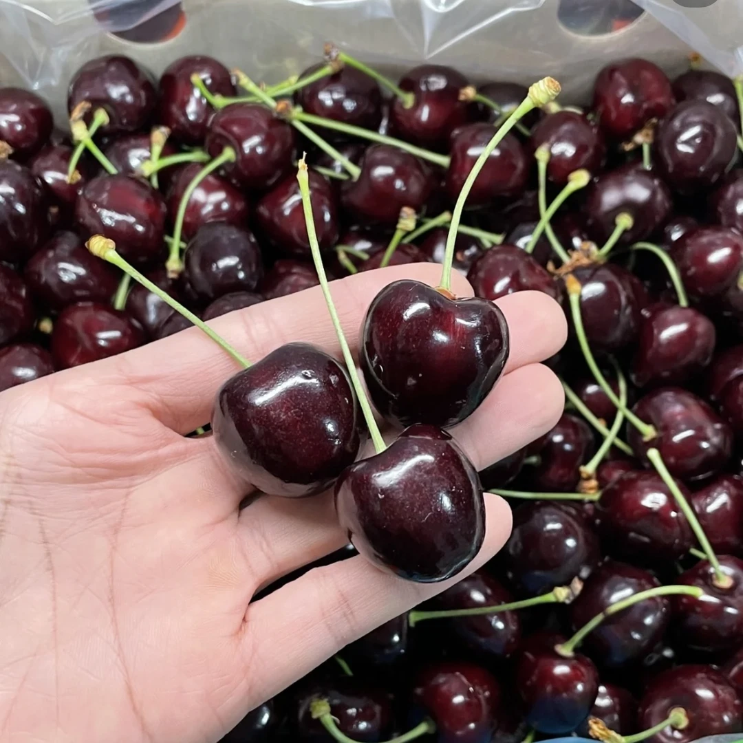 【顺丰现货】智利海运科迪亚车厘子黑车2J-4J/2-5斤 内附果径卡