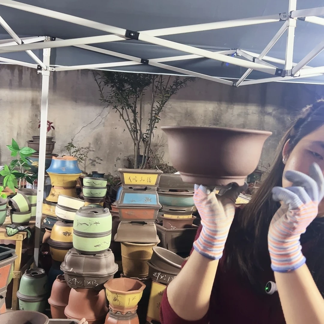 21查林小碗花盆花盆花盆