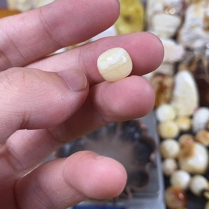 未镶嵌琥珀裸石我