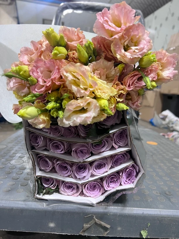 海洋之歌20支+洋桔梗1把（600g左右颜色随机）玫瑰5支不售后+营养剂