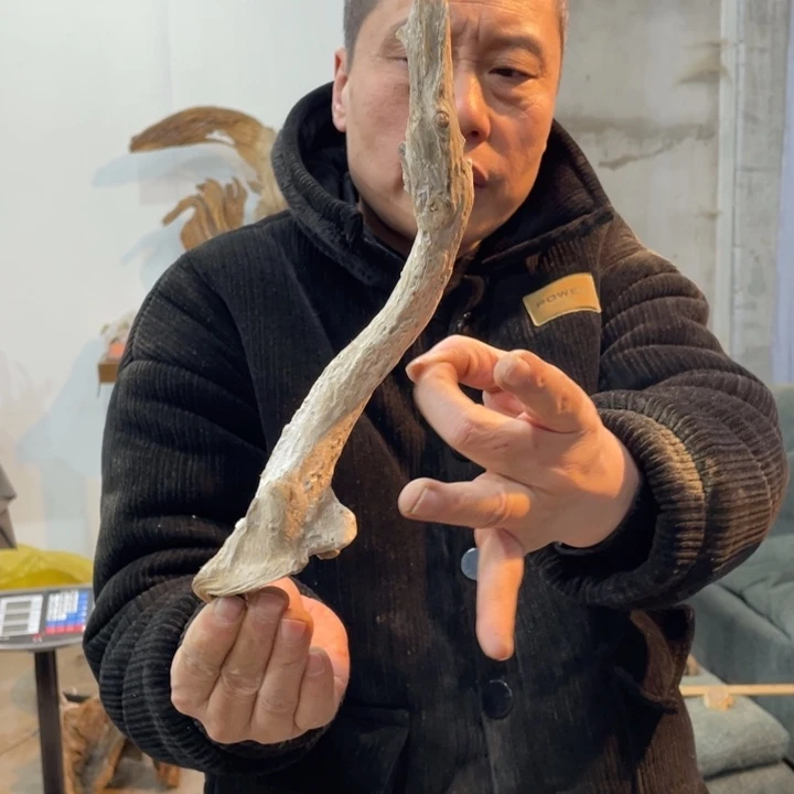 无*我们都是好孩子呀