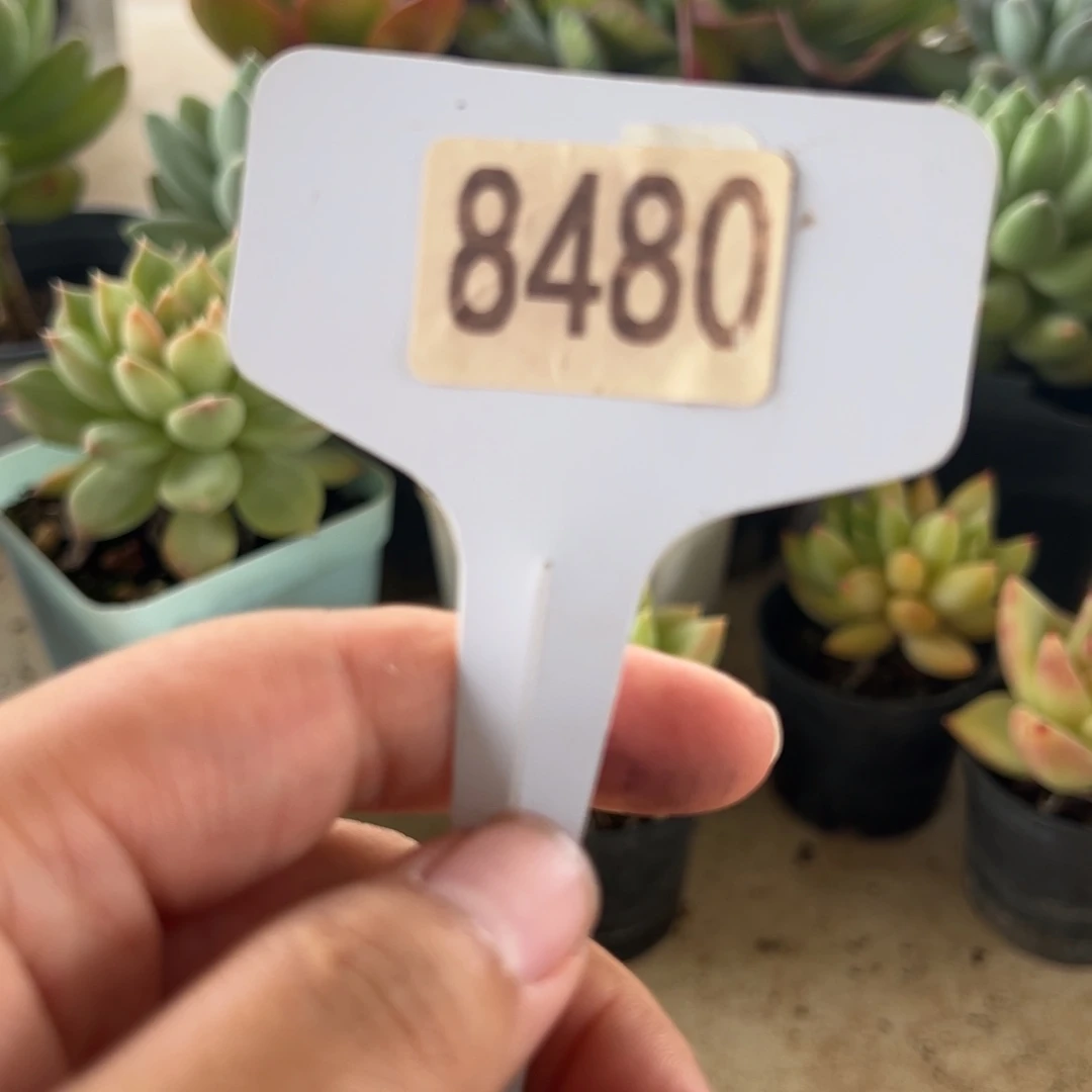 【闪购商品】用****48480。 11111111