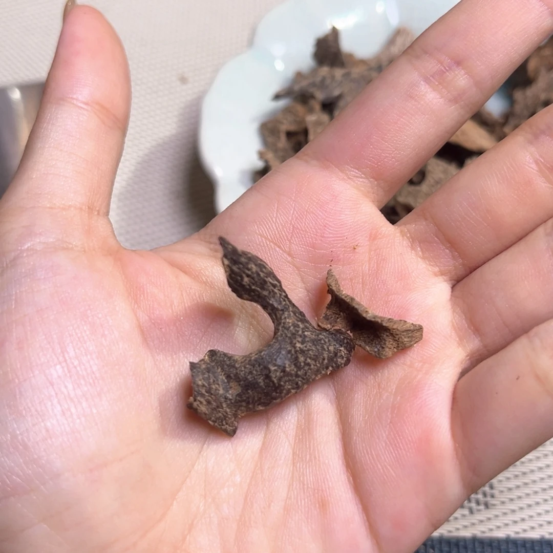 香榧木海南尖峰岭沉水鸡母虫漏1克重福利