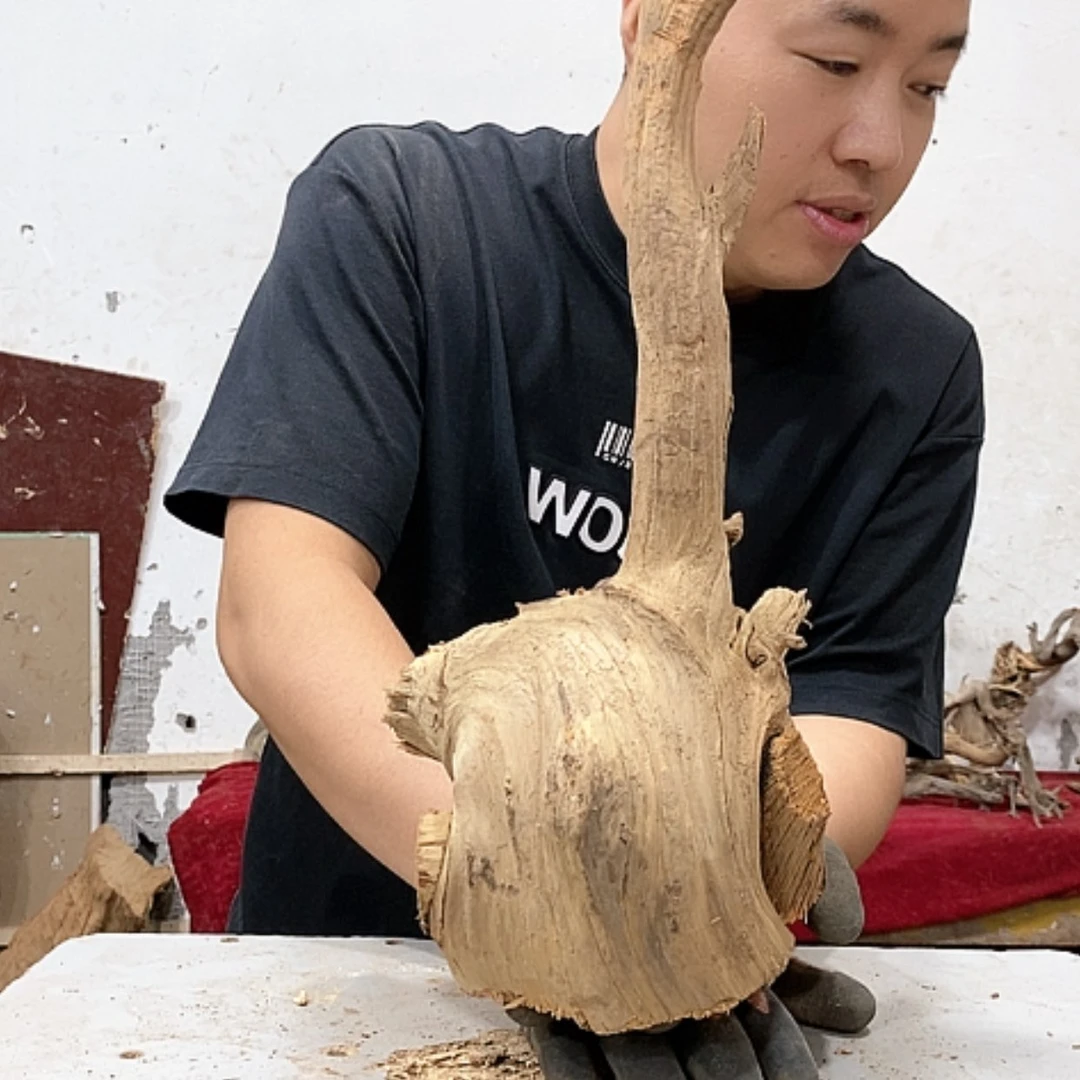 【闪购商品】柏木游*我们都是好孩子