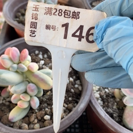 146一一一一一一一一一