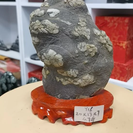 石材y16牡丹石原石