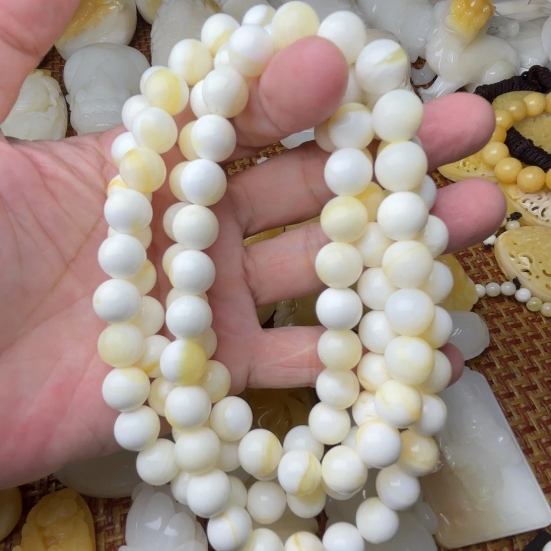 叮***.非金属贝壳天然贝壳