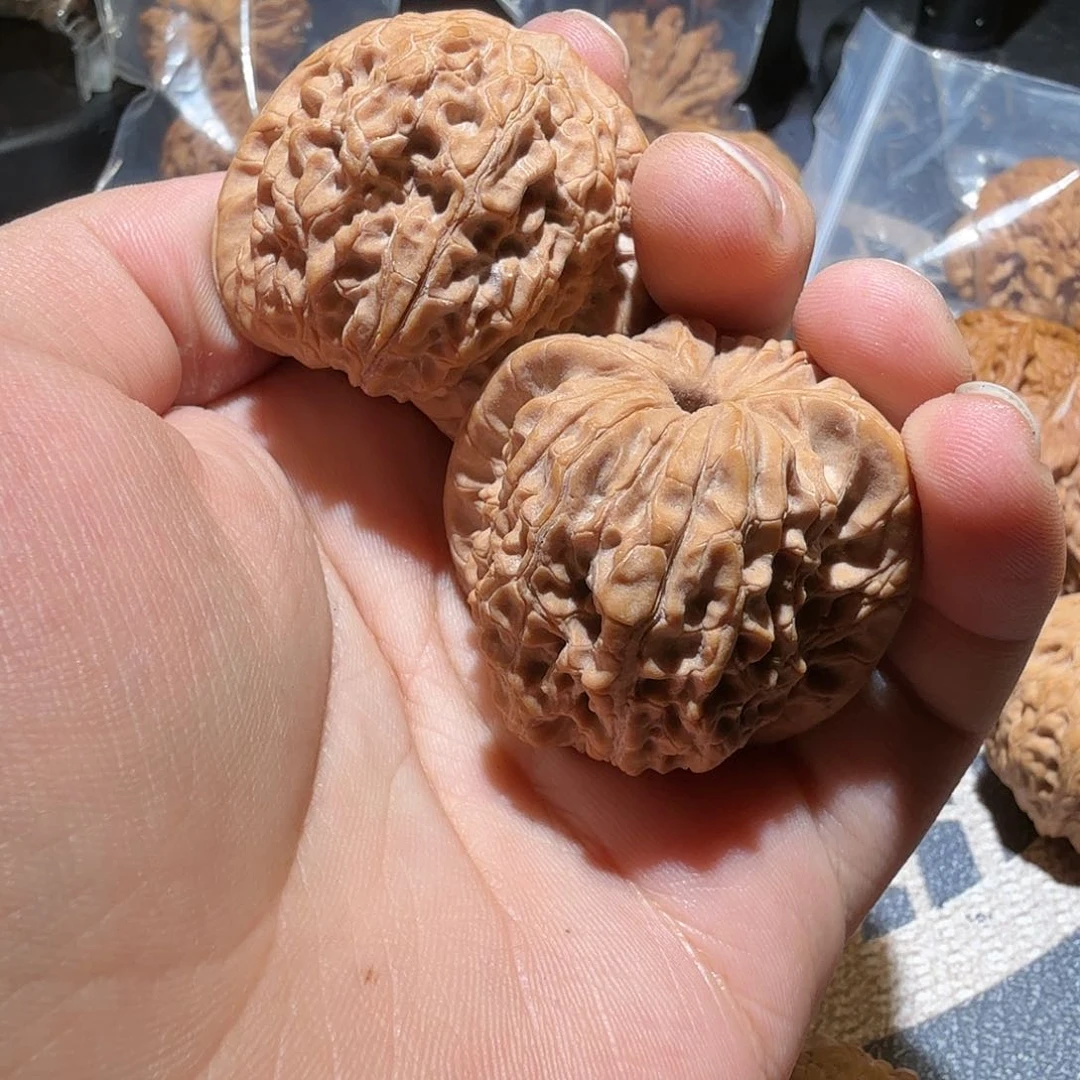 文玩核桃把件胖**号血麒麟