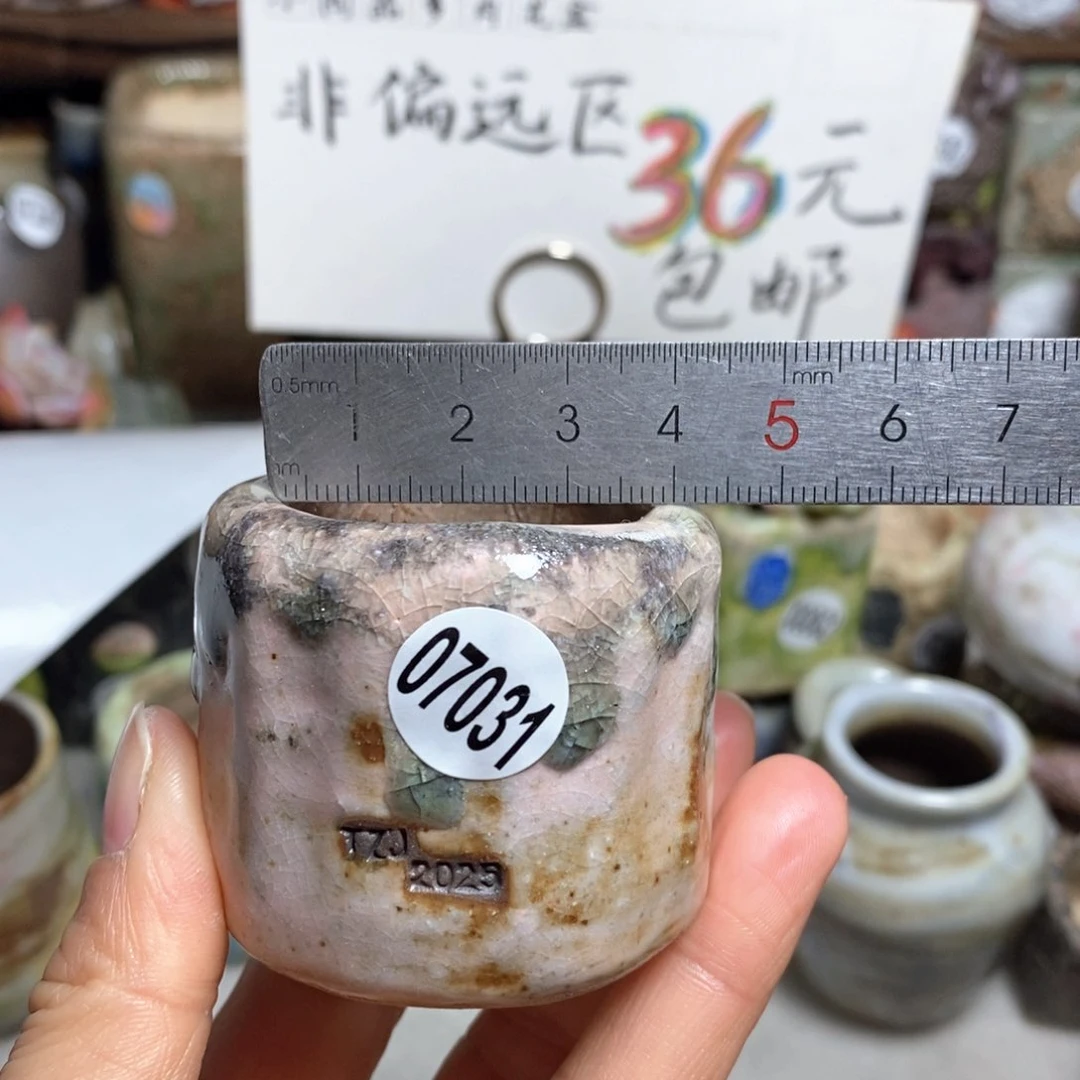 花盆拍3送一个小礼物