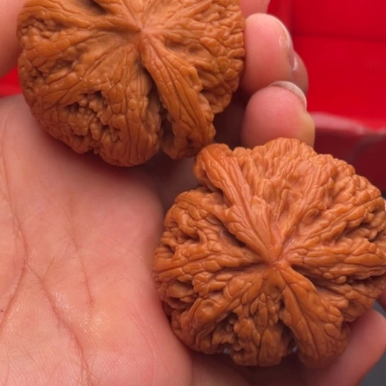 文玩核桃把件秦岭山脉核桃