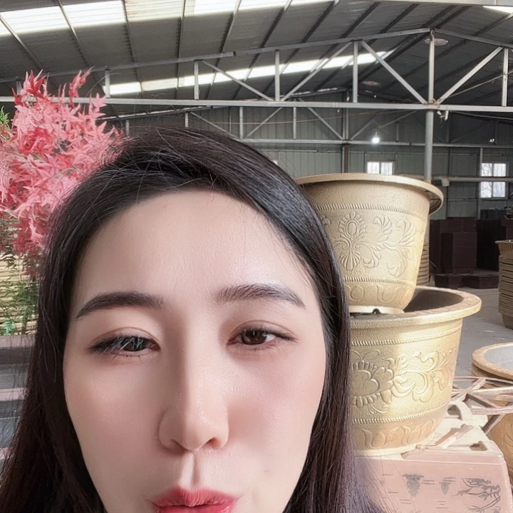 圆60口径花盆一个