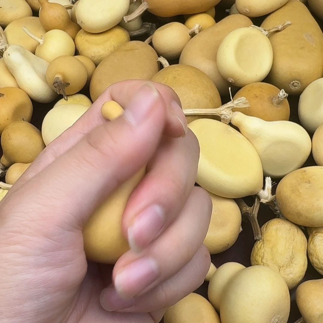 陌***瑶直播间葫芦专属链接13