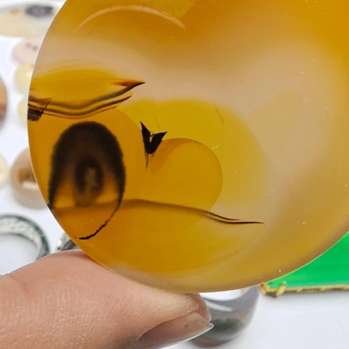 非金属时尚饰品31