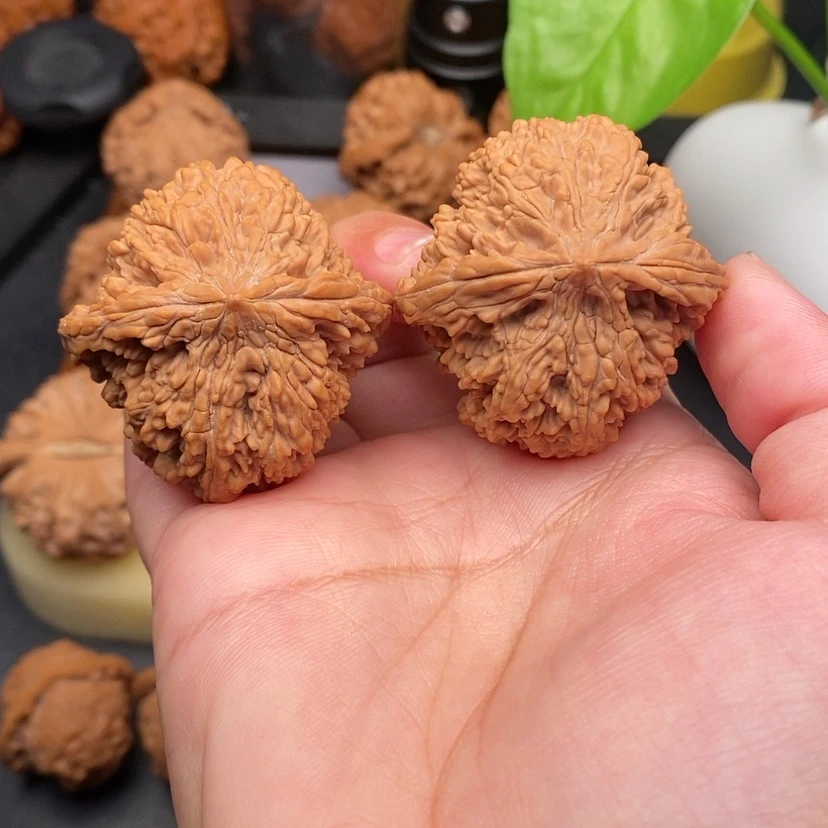 【闪购商品】文玩核桃把件满天星全品40