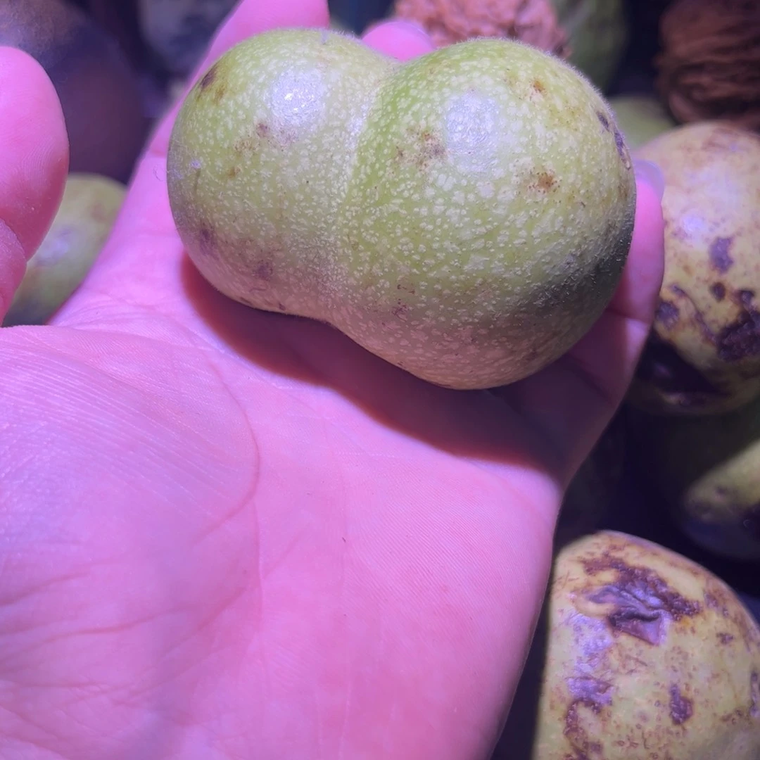 文玩核桃吊坠你****送