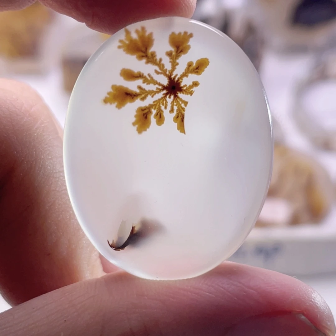 玛瑙/玉髓未镶嵌珠宝奇石