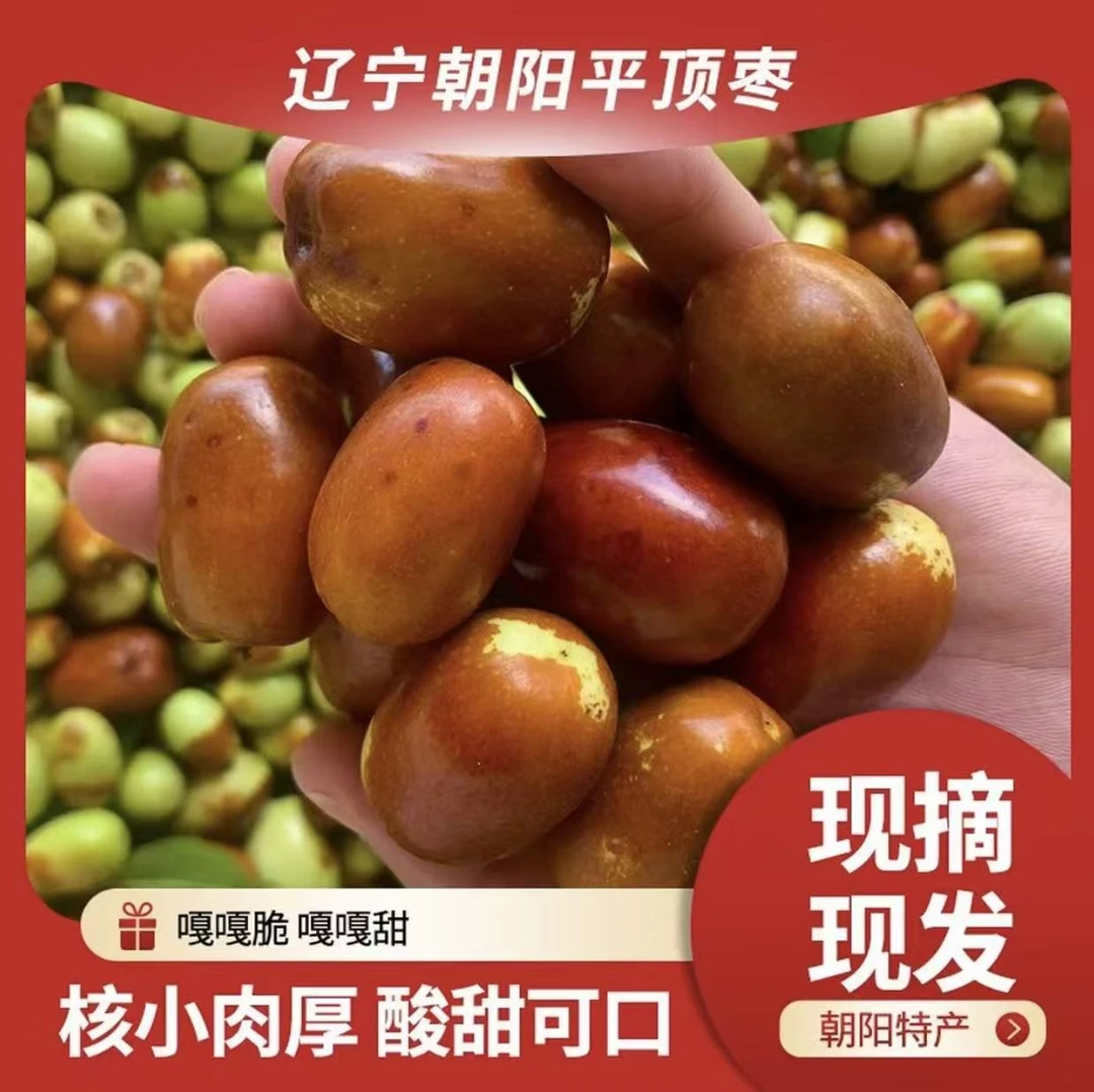 朝阳孙家湾大枣  酸脆爽口   现摘先发  京东包邮