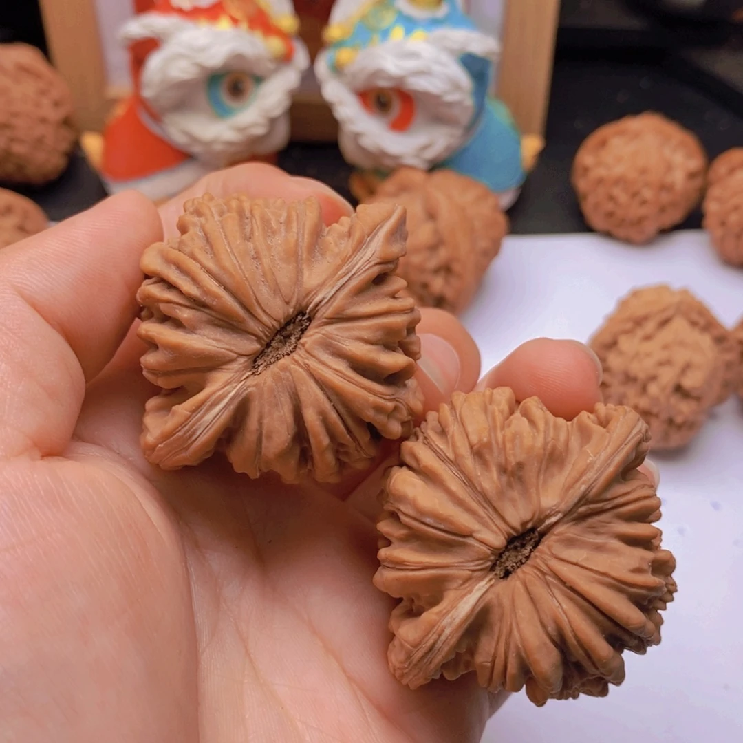 皮***丘48尺精品山地楼王全品A650