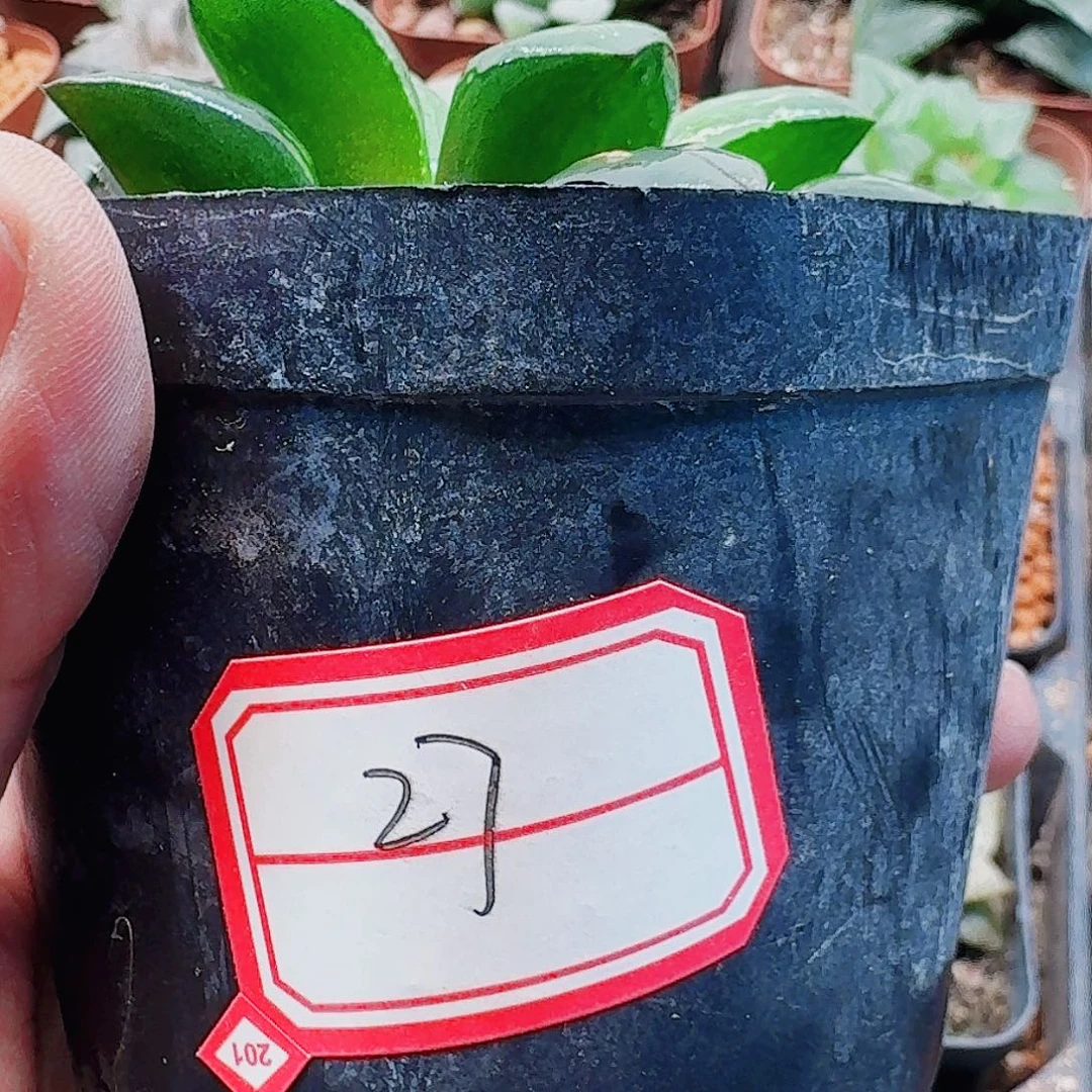我***儿十二卷实生特选福利