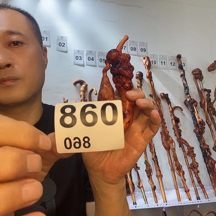 独***霸黑果木云南黑果木树榴摆件