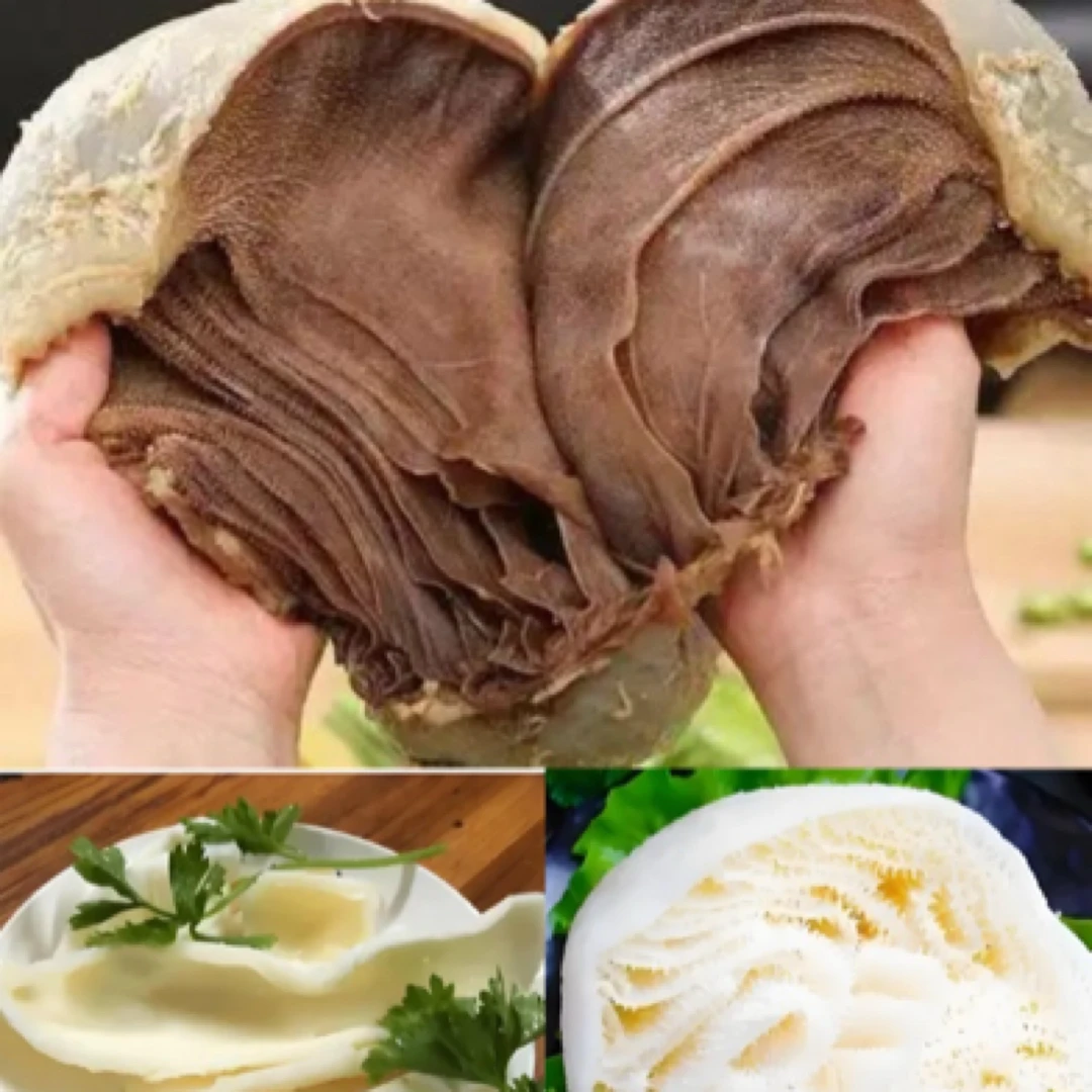 1斤火锅伴侣水发（毛肚百叶黄喉）