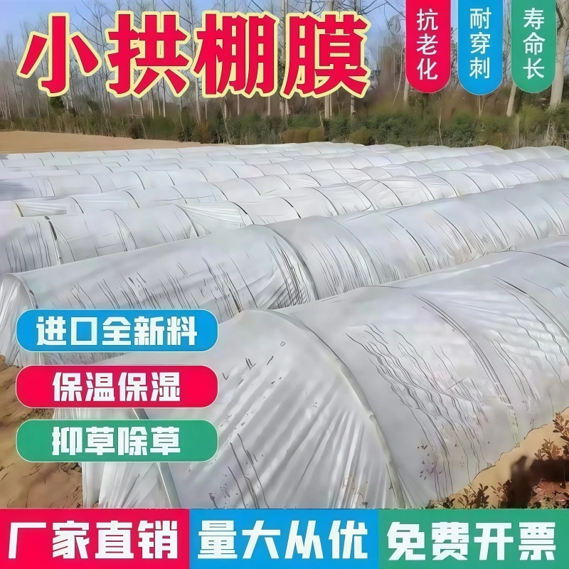 小棚膜透明塑料薄膜加厚小拱棚专用膜农用育苗保温大棚育秧膜特厚