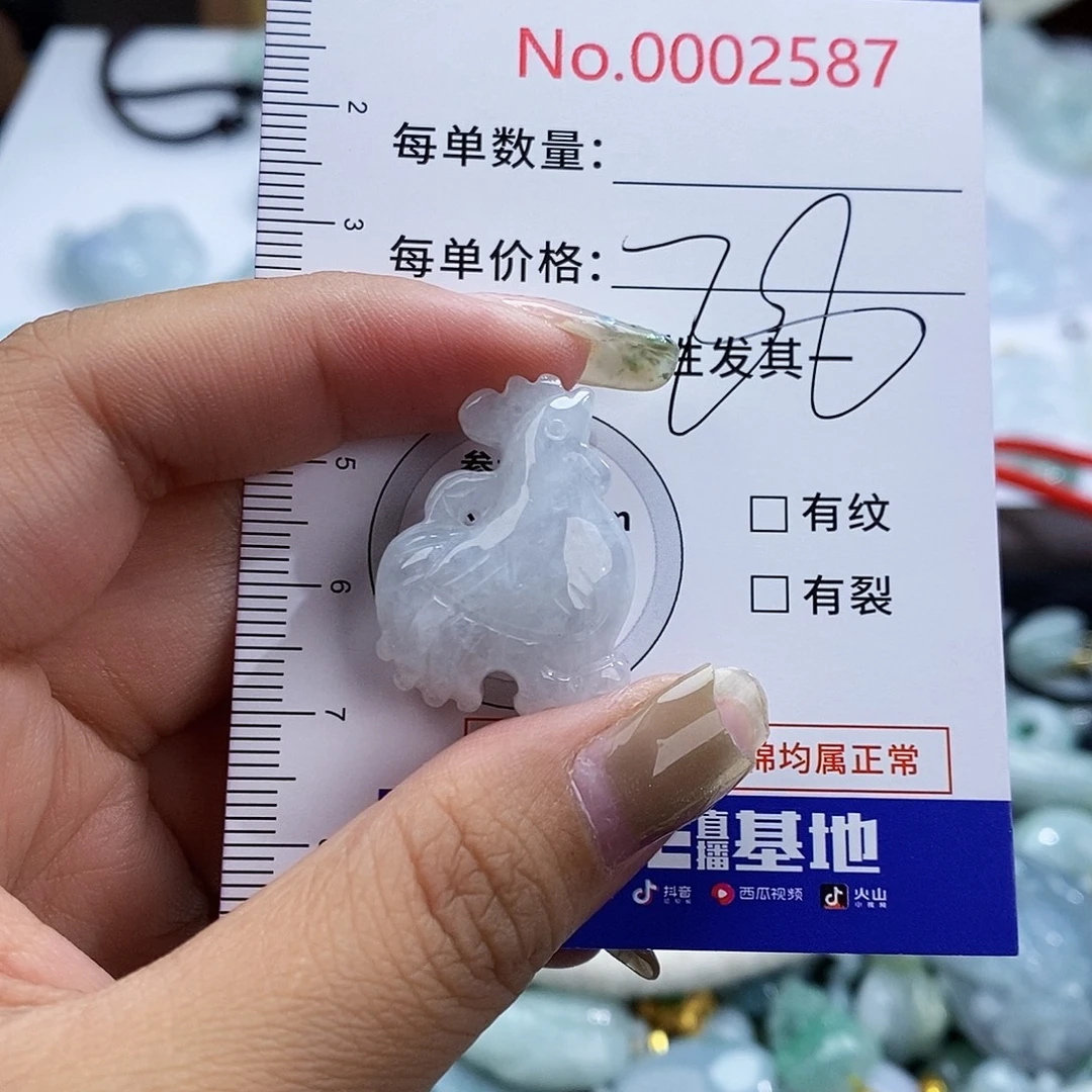 翡翠未镶嵌颈饰2587