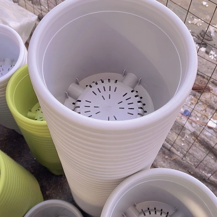 树脂锦鲤3号灰白色5个