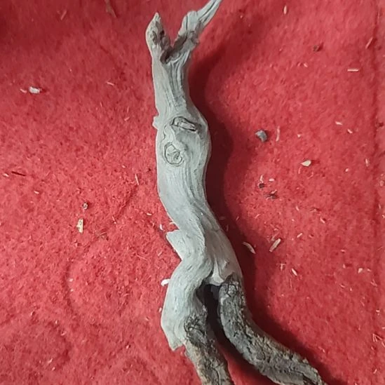 柏木崖柏工艺品坨子崖柏