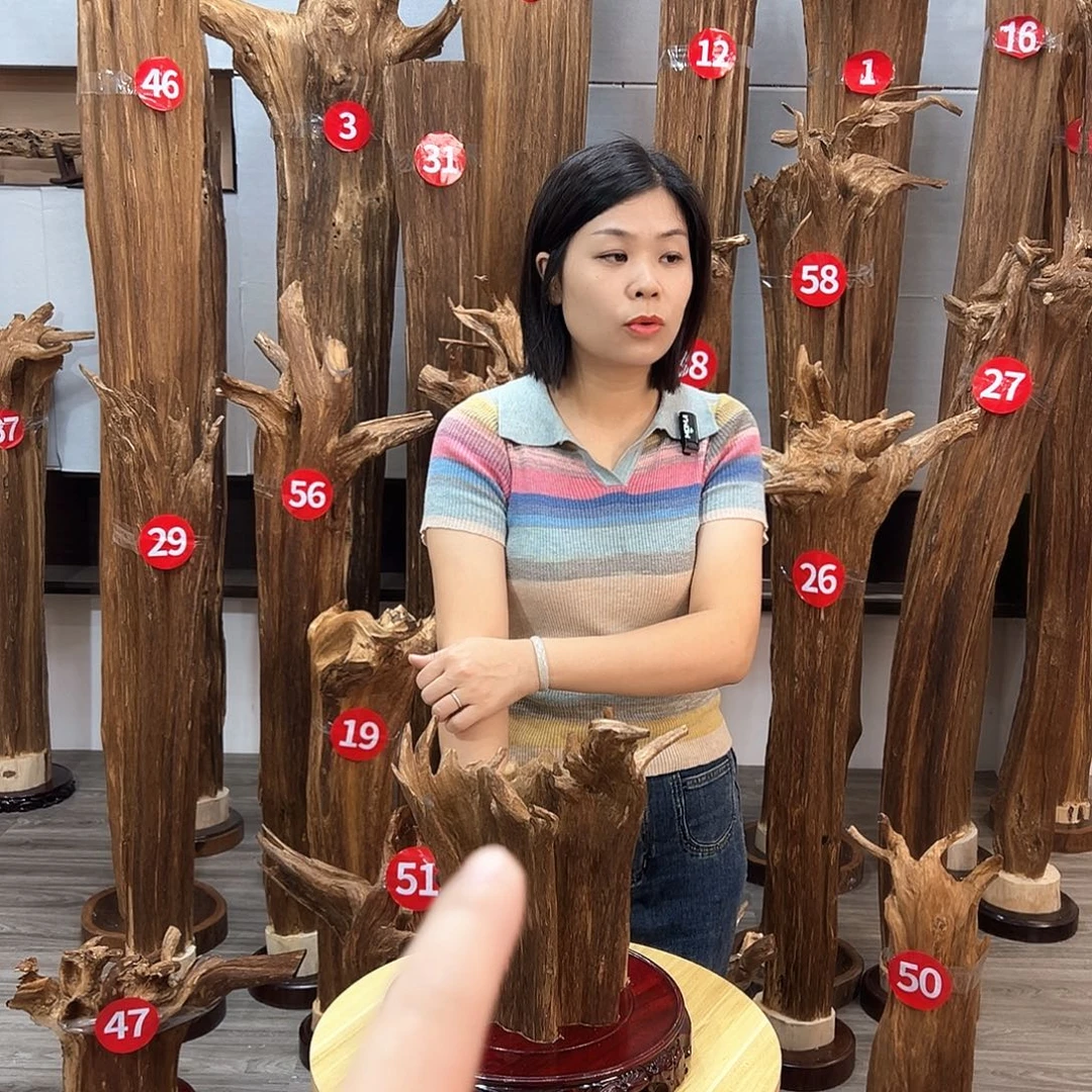 随***度沉香碎屑沉香沉香