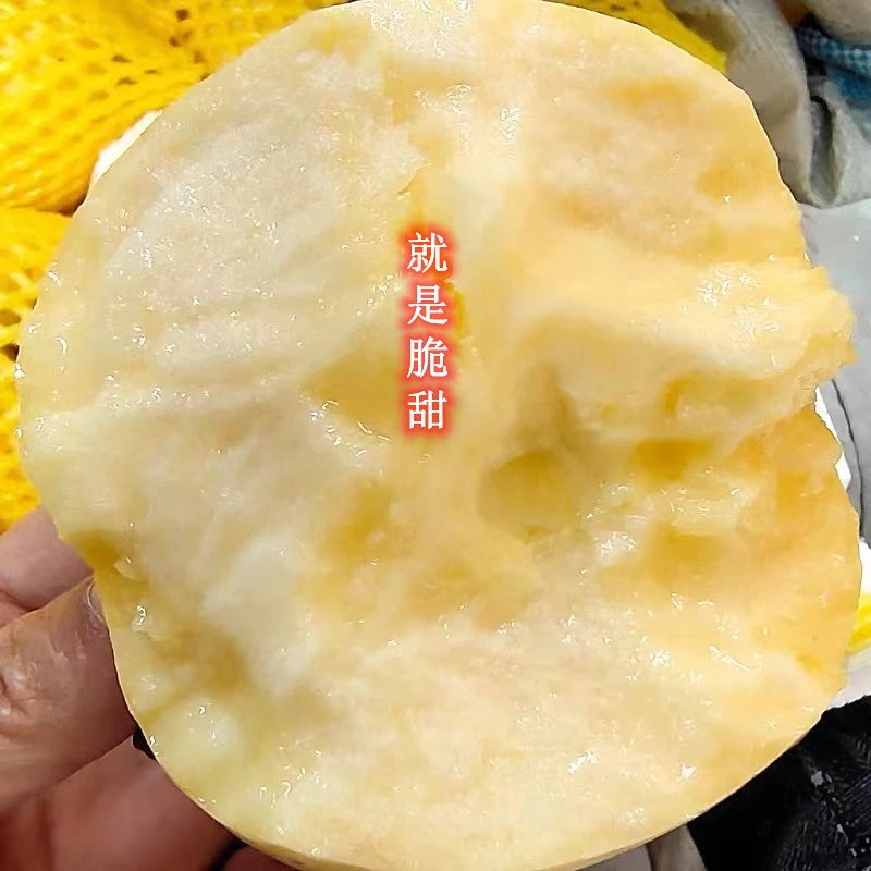 沂蒙山维纳斯苹果3斤