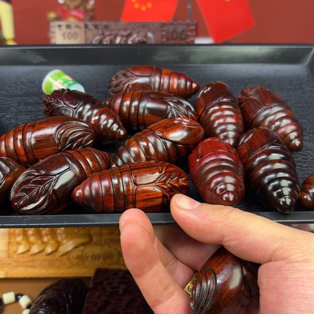檀香紫檀（小叶紫檀）蛹