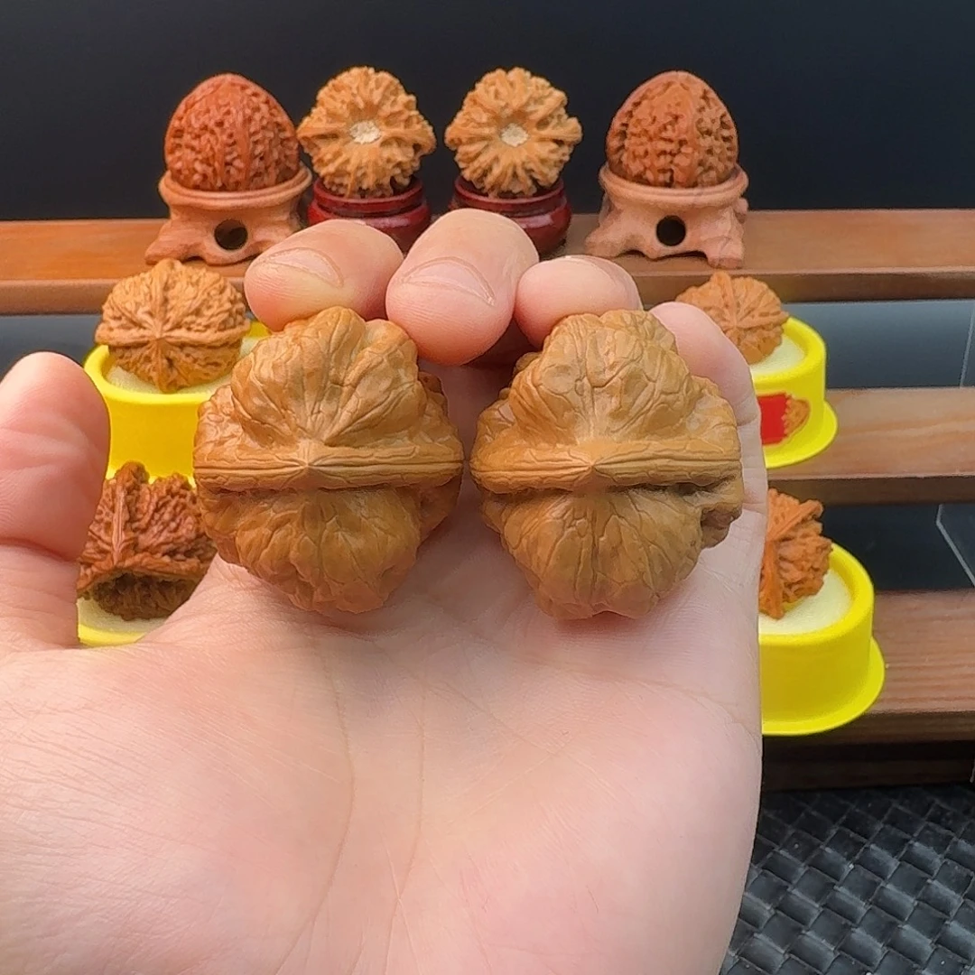 大叶紫檀（黑酸枝木类）古蟾