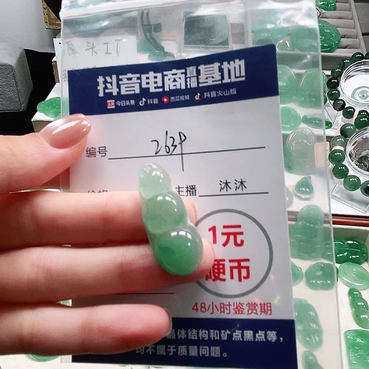 石英质玉未镶嵌颈饰