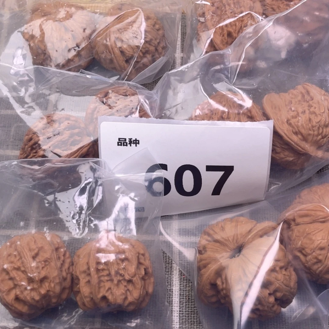 把件文玩核桃607号6对带练手元宝