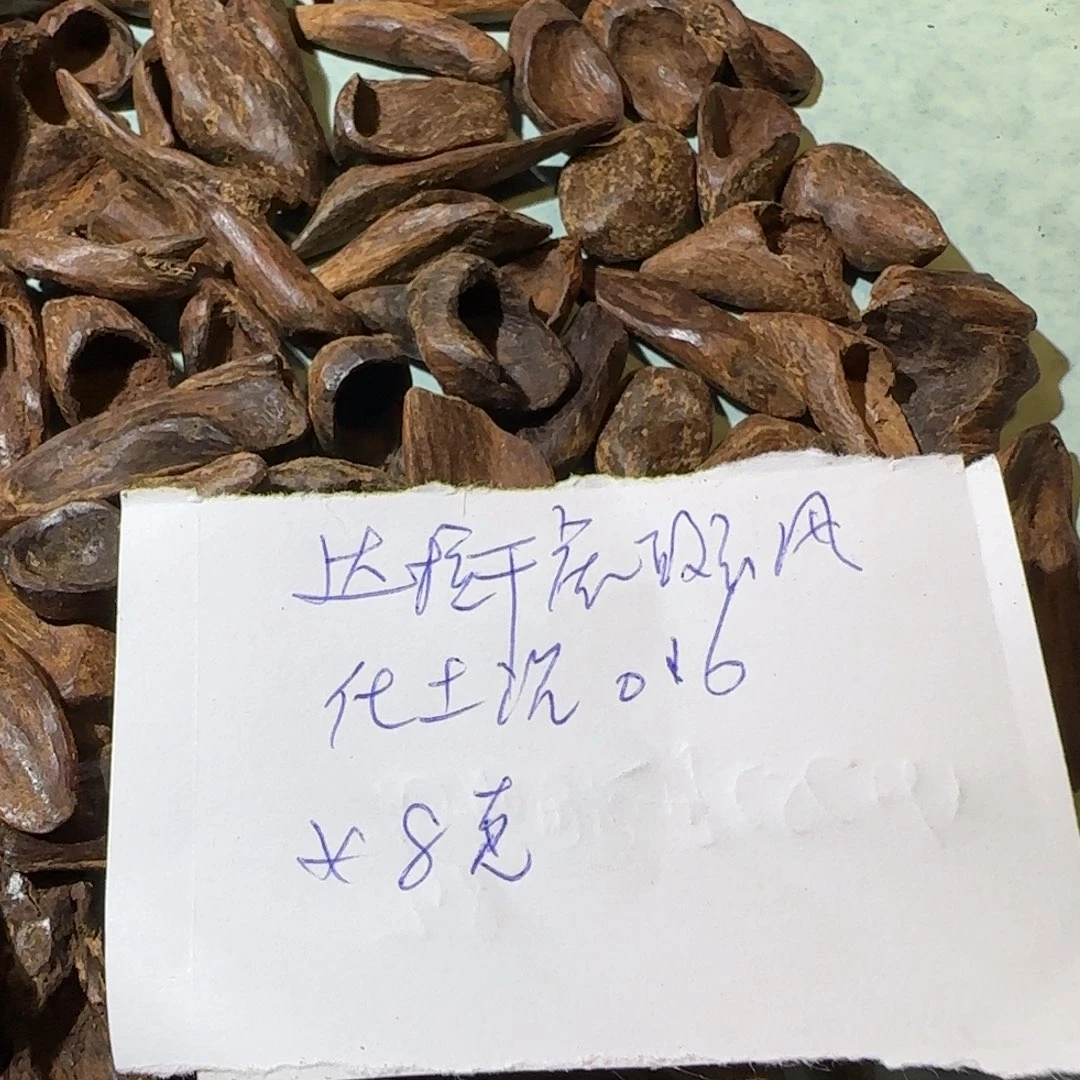 沉香沉香碎屑8克达拉干虎斑分化土沉0.6
