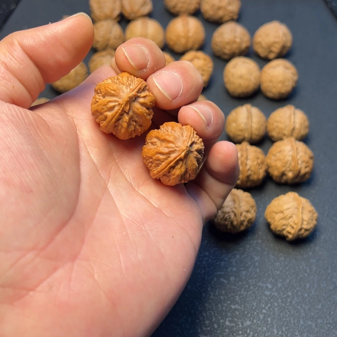 文玩核桃把件小霸王龙