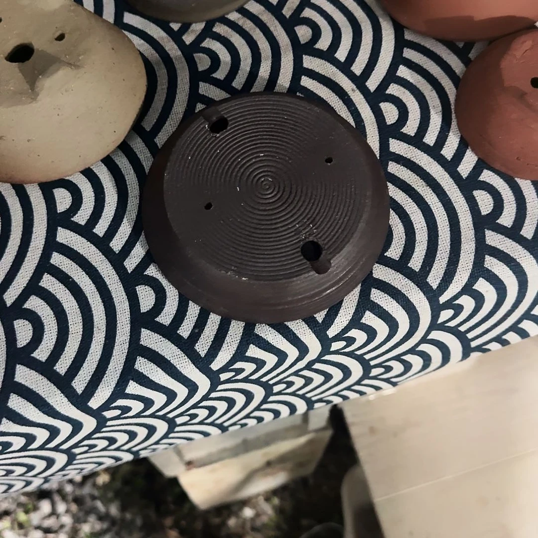 酱***子无花朵进口盆栽盆器杜鹃